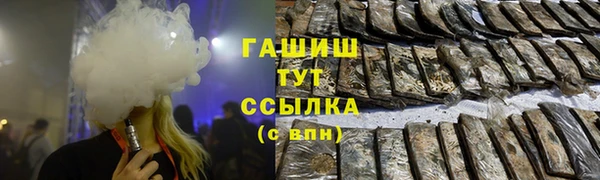 крисы Ельня