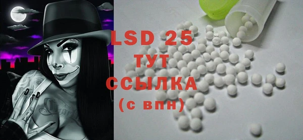 крисы Ельня