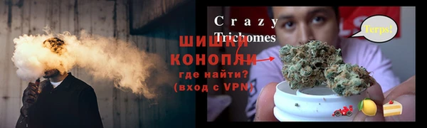ГАЛЛЮЦИНОГЕННЫЕ ГРИБЫ Елизово