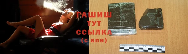 крисы Ельня