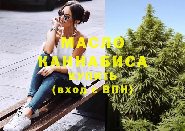 крисы Ельня