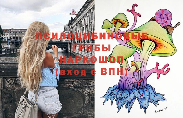 ГАЛЛЮЦИНОГЕННЫЕ ГРИБЫ Елизово