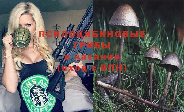 ГАЛЛЮЦИНОГЕННЫЕ ГРИБЫ Елизово