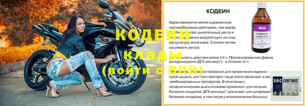 прущий лед Осинники