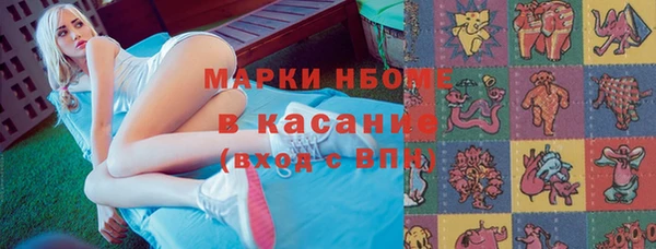 крисы Ельня