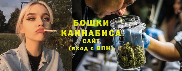 крисы Ельня