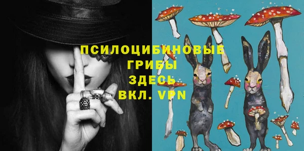 ГАЛЛЮЦИНОГЕННЫЕ ГРИБЫ Елизово