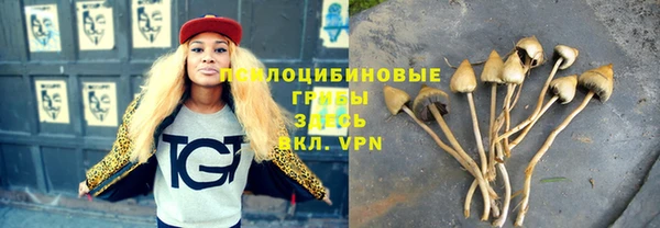 ГАЛЛЮЦИНОГЕННЫЕ ГРИБЫ Елизово