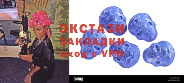 крисы Ельня