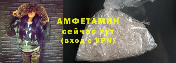 крисы Ельня