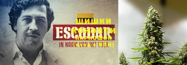 ГАЛЛЮЦИНОГЕННЫЕ ГРИБЫ Елизово