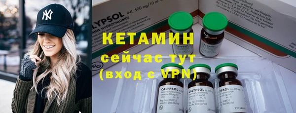 крисы Ельня