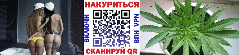 Шишки марихуана сатива  Салаир 